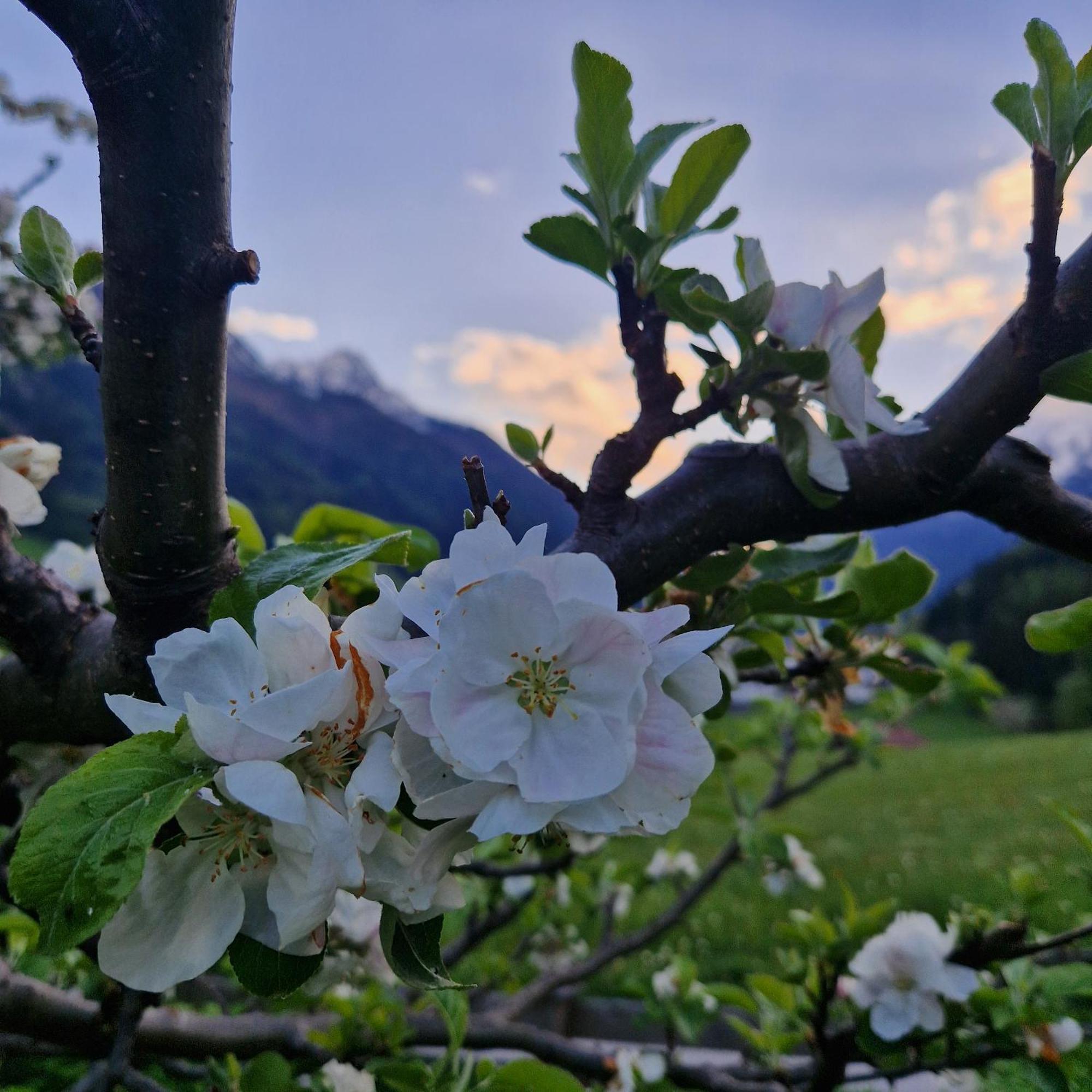 Apartamento Klein&Fein Neustift im Stubaital Exterior foto